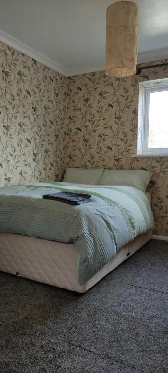 Toad Hall Hostel - Budget Double Room