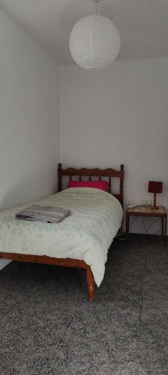 Toad Hall Hostel - Budget Single Room