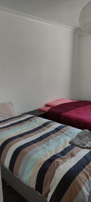 Toad Hall Hostel - Budget Triple Room
