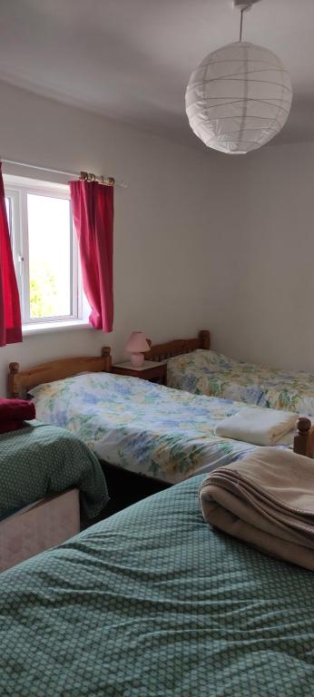 um quarto com 2 camas e uma janela em Toad Hall Hostel em Machynlleth