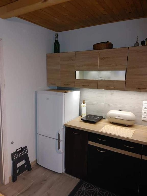 Kuchyňa alebo kuchynka v ubytovaní Zacisze u Ani