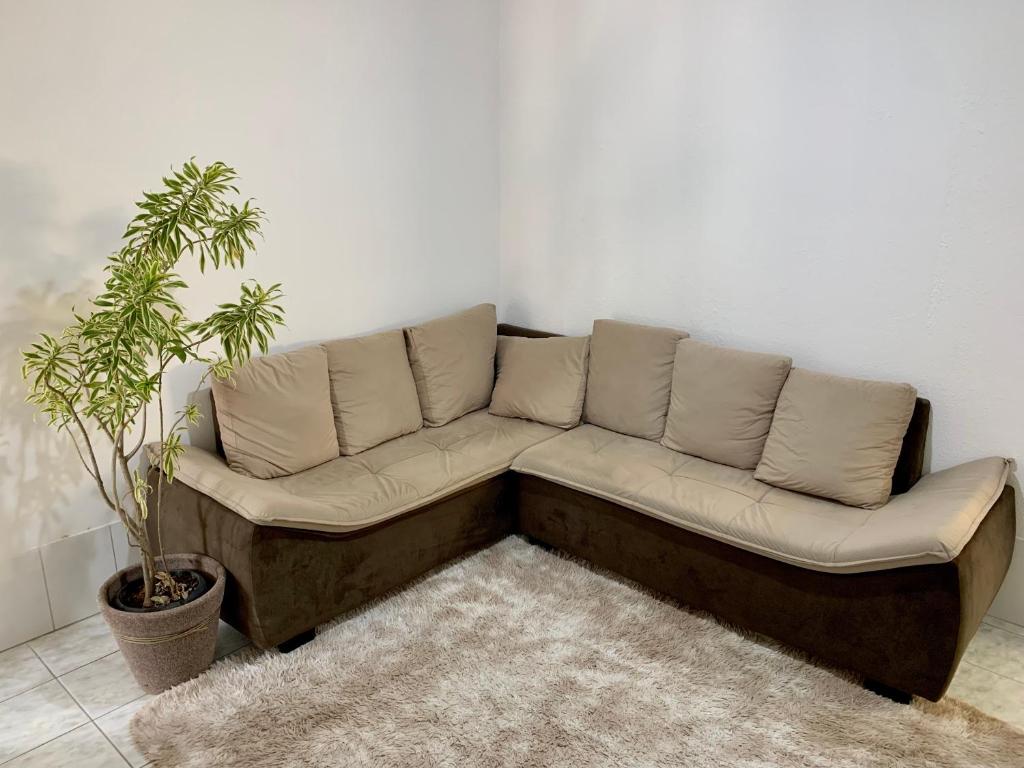 a couch in a living room with a plant at Apartamento charmoso próximo ao Centro in Vitória da Conquista