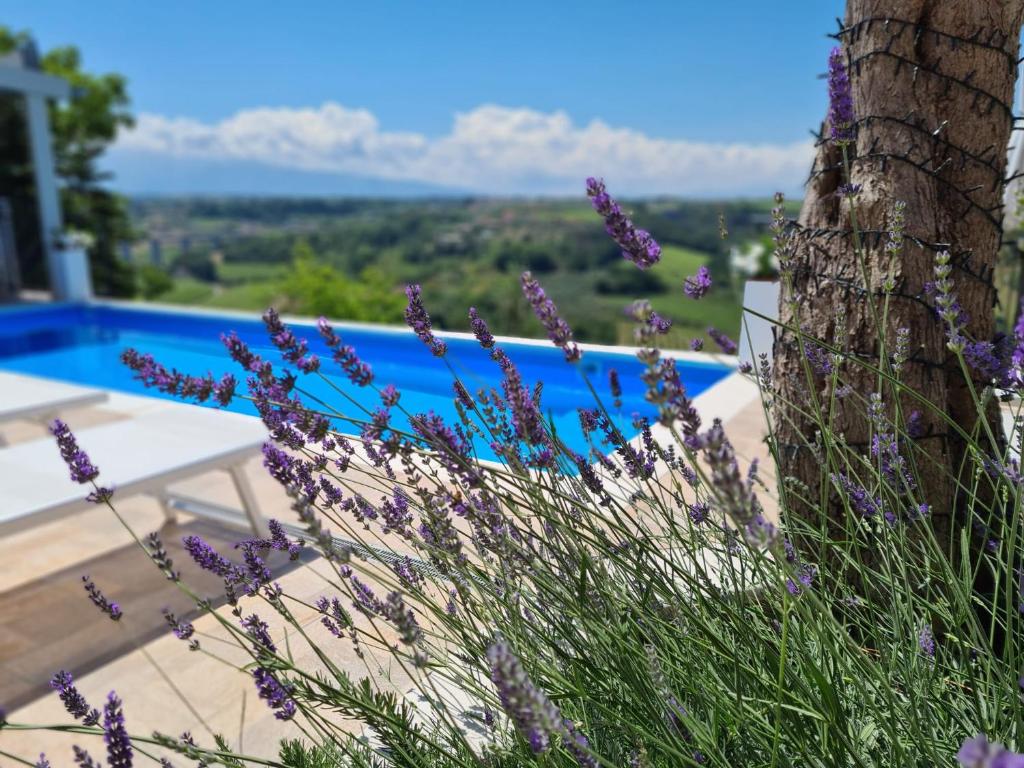 a tree with purple flowers next to a pool at Il Nido B&B in San Vito Chietino