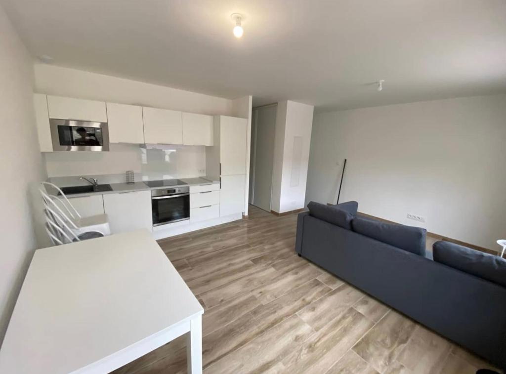 Appartement + grande terrasse en centre ville