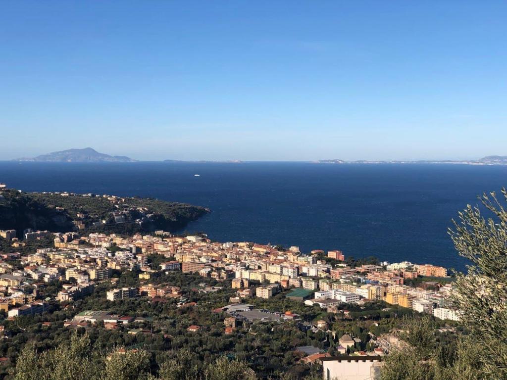 z powietrza widok na miasto i ocean w obiekcie L'Orto di Grace w Sorrento