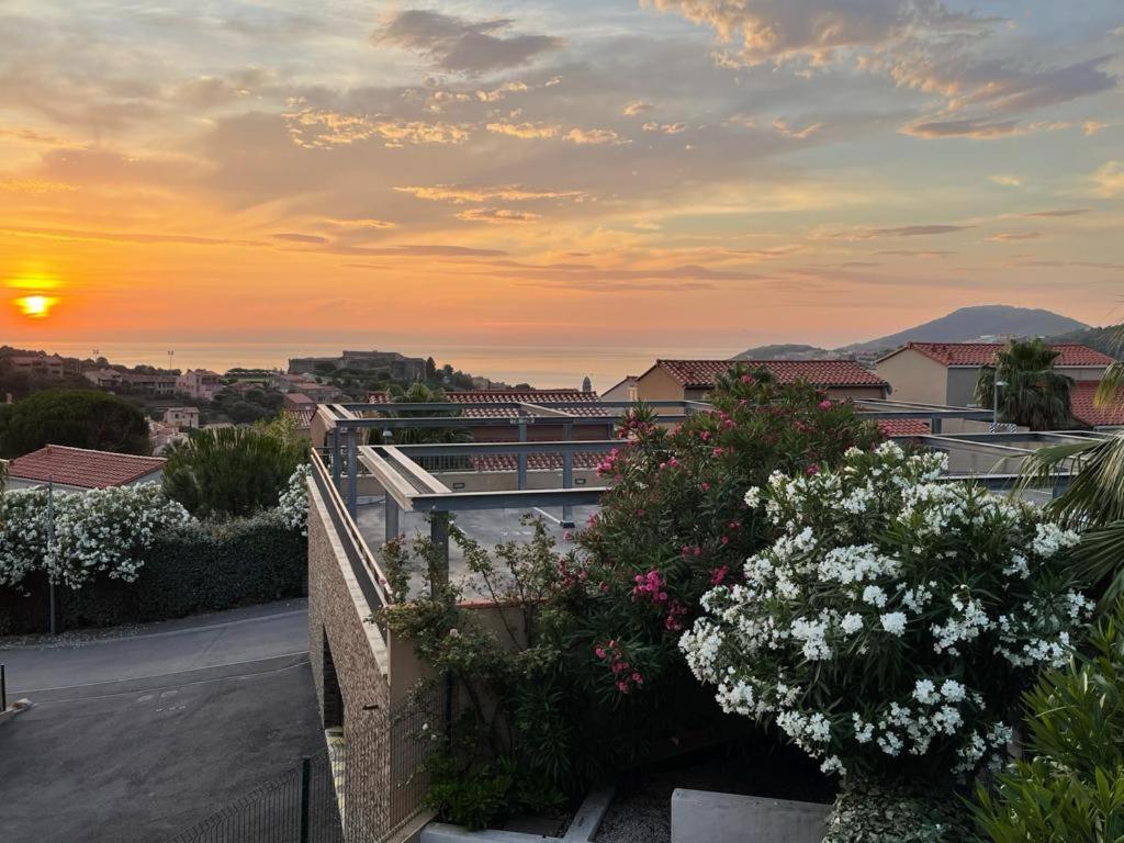 - une vue sur le coucher du soleil depuis un bâtiment fleuri dans l'établissement SAPHIR - Vue Mer et Montagne - WIFI FIBRE- PISCINE et GARAGE Privé, à Collioure