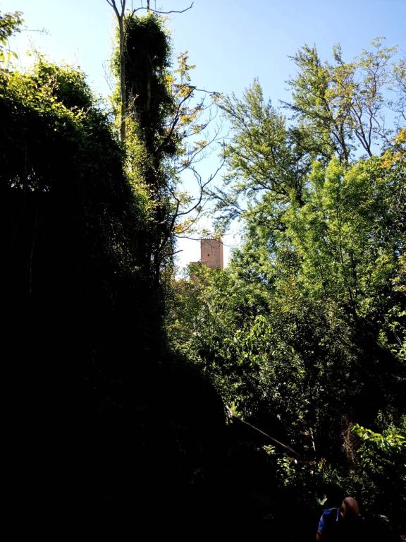 Zahrada ubytování Casa La Antigua Almazara