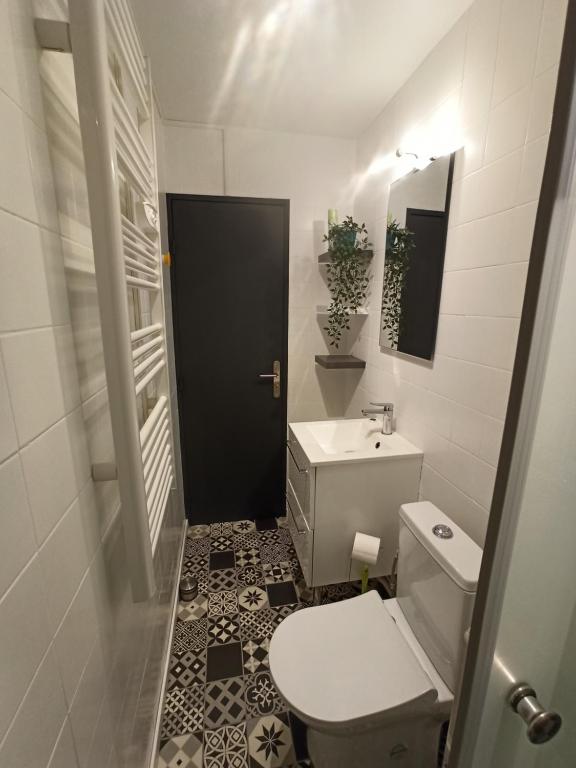 een kleine badkamer met een toilet en een wastafel bij L Îlot de la Baie, super studio 4p face à la mer, parking gratuit, wifi, classé 2 étoiles à Fort Mahon Plage, Baie de Somme in Fort-Mahon-Plage