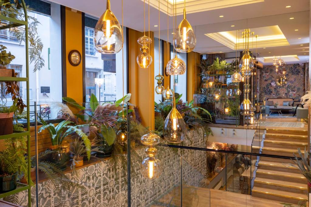 Hôtel Jardin de Cluny - Resim 5