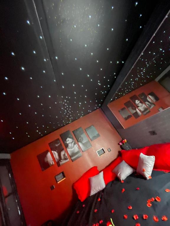 ein Schlafzimmer mit einem Bett mit Sternen an der Decke in der Unterkunft Cosyroom25 in Besançon