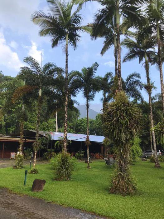 Zahrada ubytování Daintree Siesta