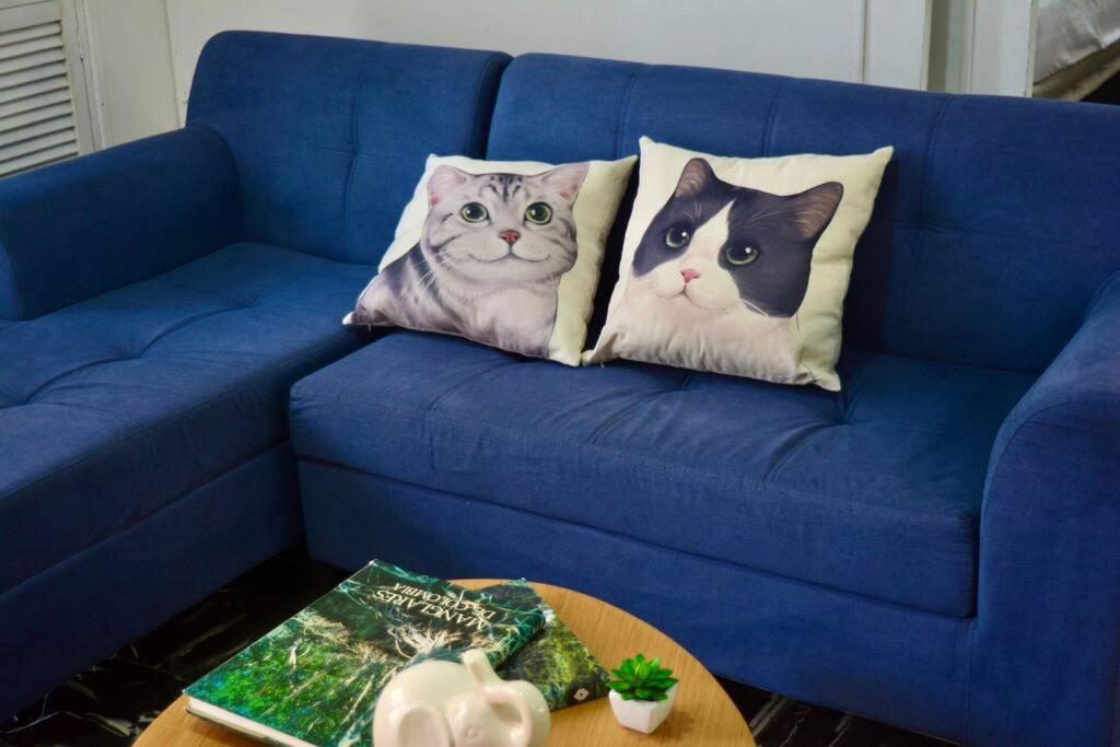 dos almohadas de gatos sentadas en un sofá azul en Casa del Gato, en Cartagena de Indias