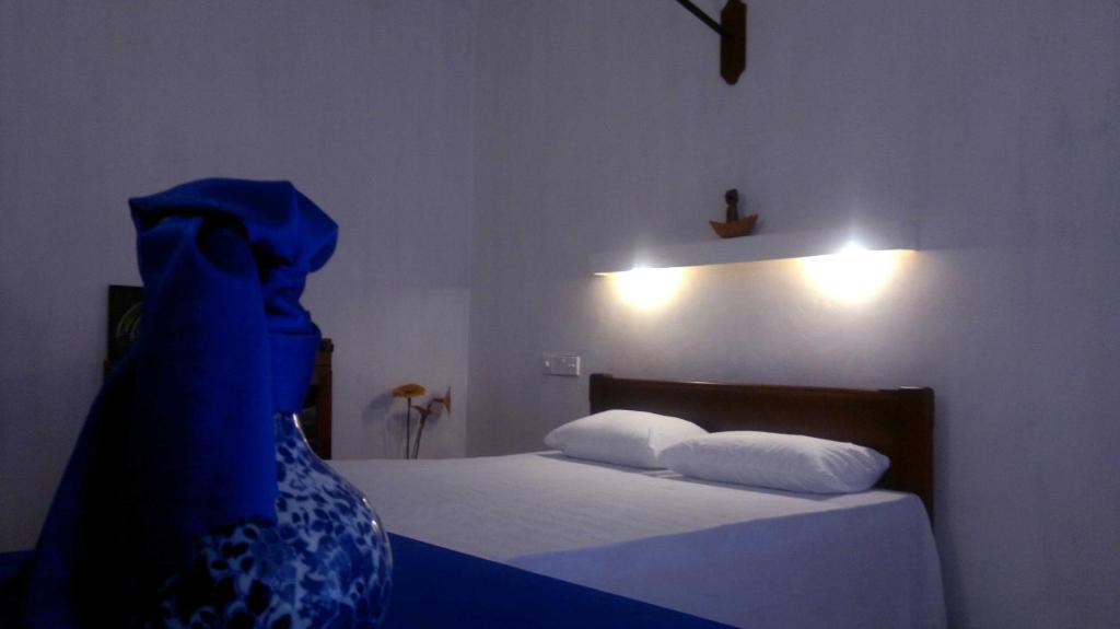 Peacock Wings Guest - 1