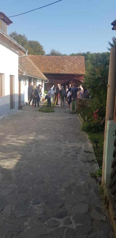 un grupo de personas parados fuera de un edificio en Pensiunea Ramona, en Viscri