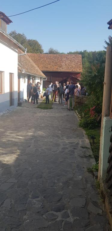 Pensiunea Ramona - Housity