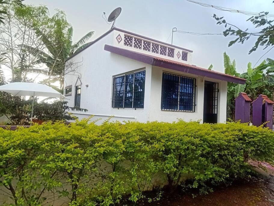 Yelagiri RAM Cottage @Home with kitchenette full - Appartement Met één Slaapkamer