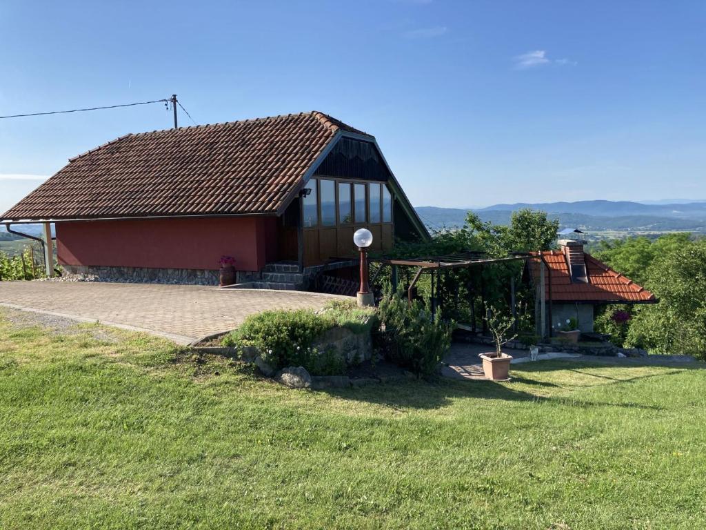 a small house with a grassy yard in front of it at Vineyard Cottage Slanc in Metlika