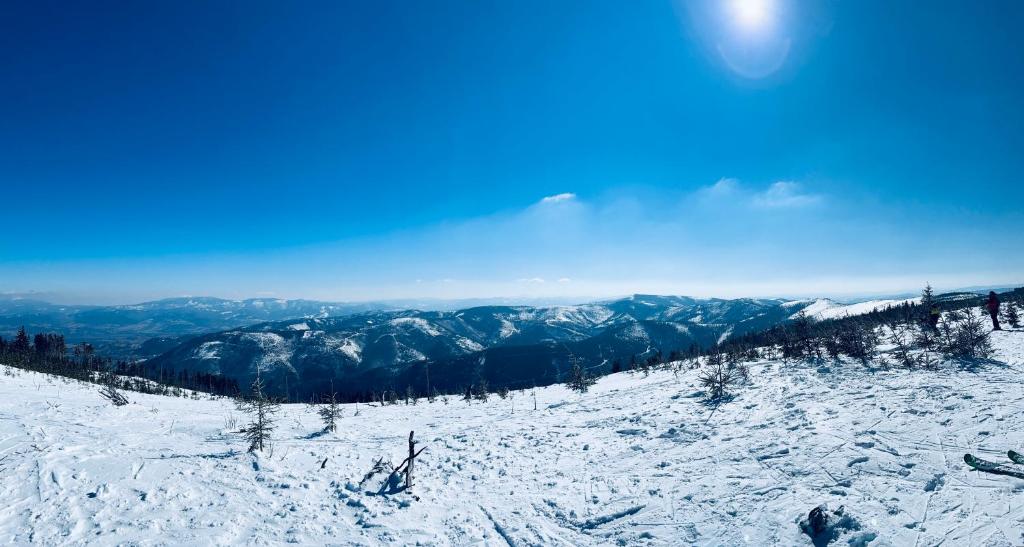the beskid view v zimě