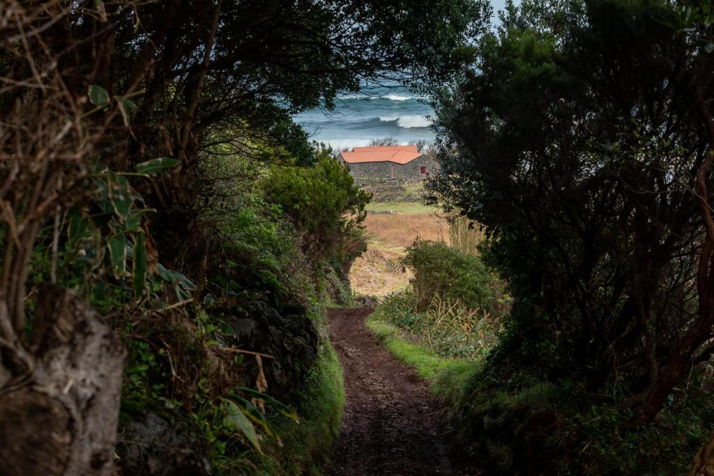a dirt road through trees with a house in the background at Kuanza Nature Experience, Fajã do Belo in Fajã da Caldeira de Santo Cristo