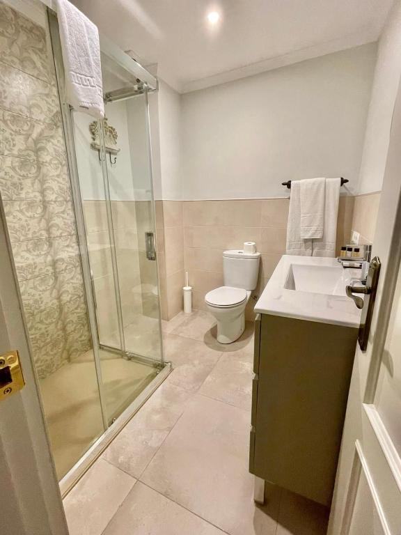 a bathroom with a shower and a sink and a toilet at Hostal Boutique Plaza Cantarero in Nerja