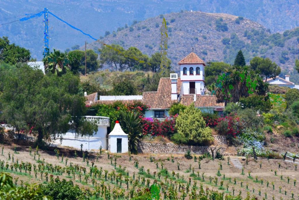 a house in the middle of a field with trees at La Imaroga in Nerja