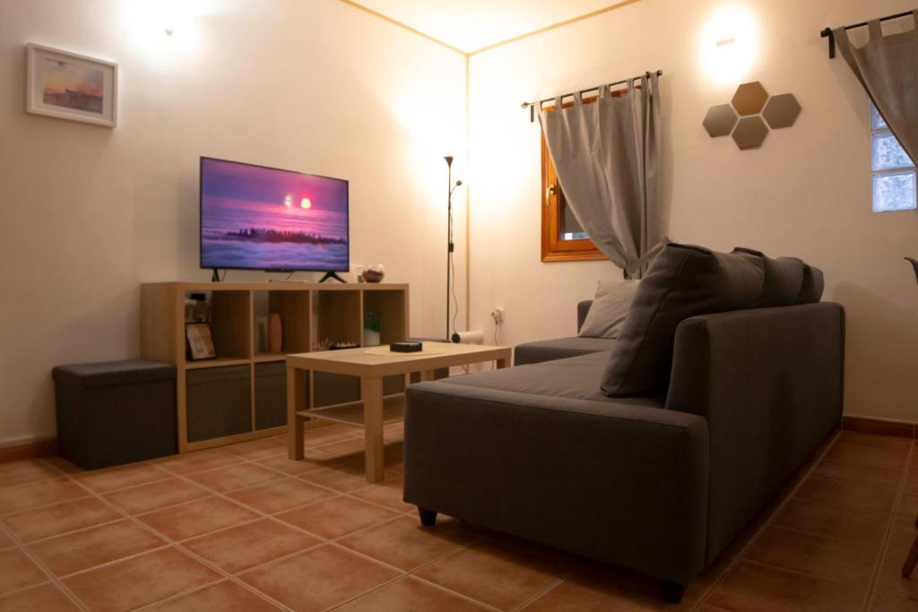 TV a/nebo společenská místnost v ubytování Apartamentos Erlueta
