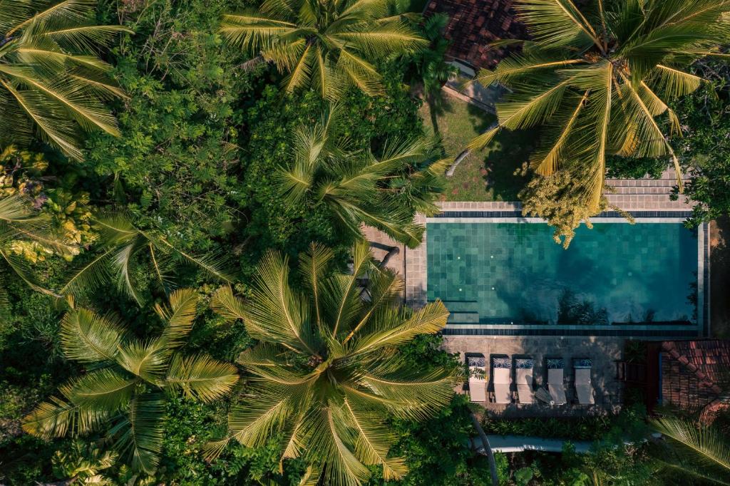 Pemandangan kolam renang di Coconut Grove atau berdekatan