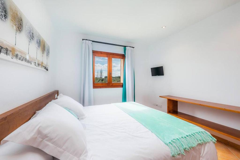 S'Hort Can Capità - 14