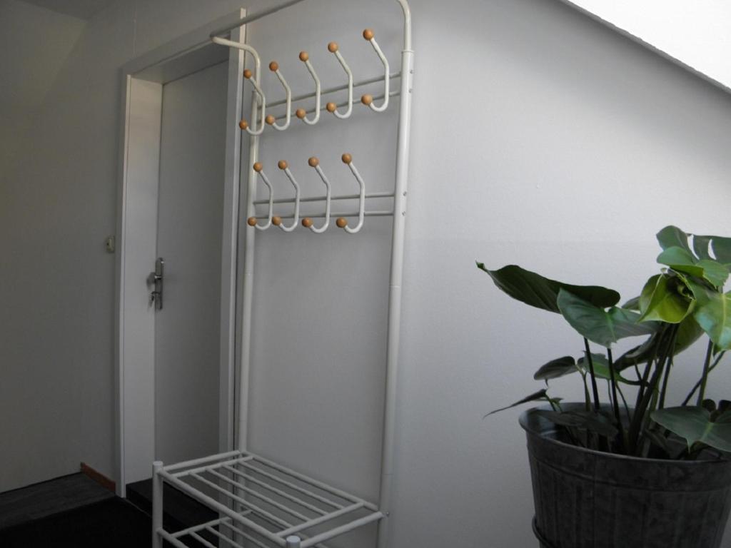 Altstadtwohnung - Appartement Met één Slaapkamer