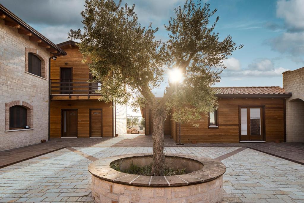 a tree in a pot in front of a building at Borgo Olivo in Pietrelcina