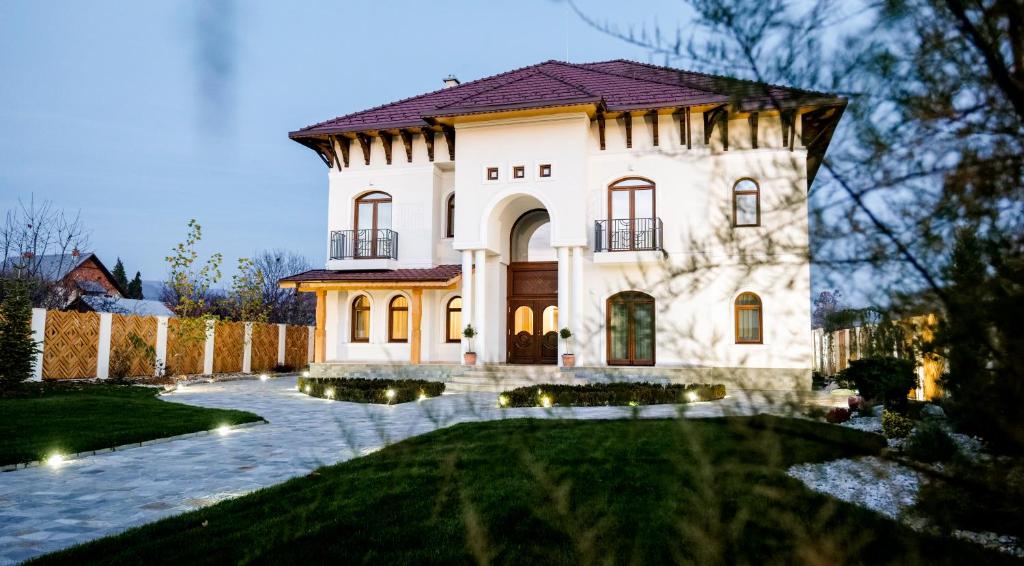 una gran casa blanca con patio en Conacul Olarilor, en Baia de Fier