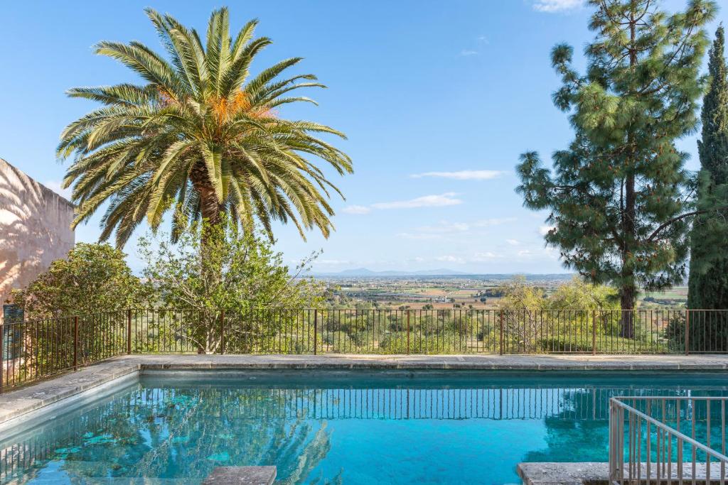 a swimming pool with a palm tree in the background at Finca Son Cladera in Sa Pobla