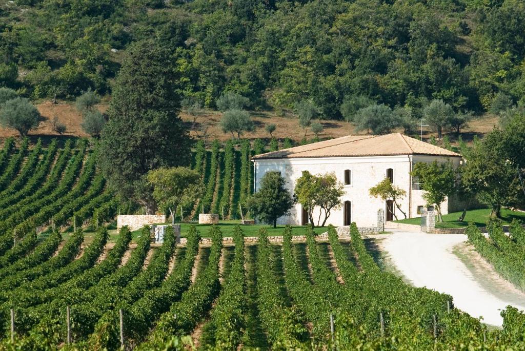 a white building in a field of vines at San Calisto camere con vigna in Popoli