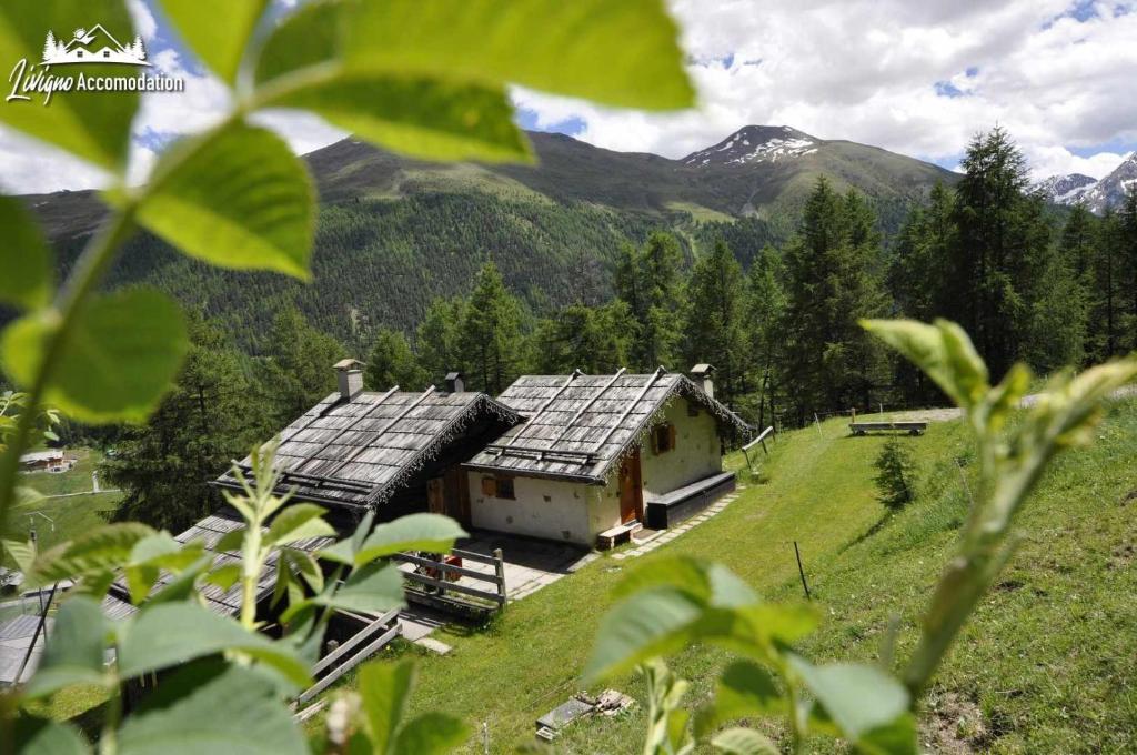 ein Haus auf einem Hügel mit Bergen im Hintergrund in der Unterkunft Baita Hanzel e Gretel in Livigno