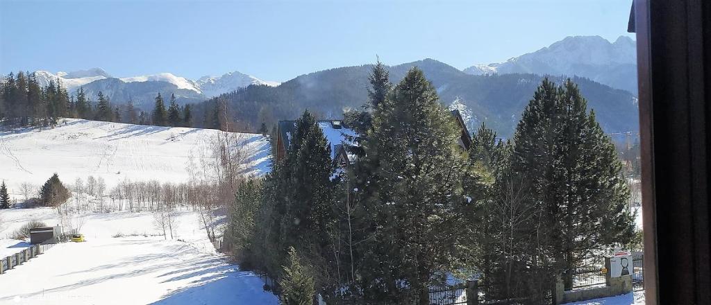 Willa Tadeusz Zakopane - 19