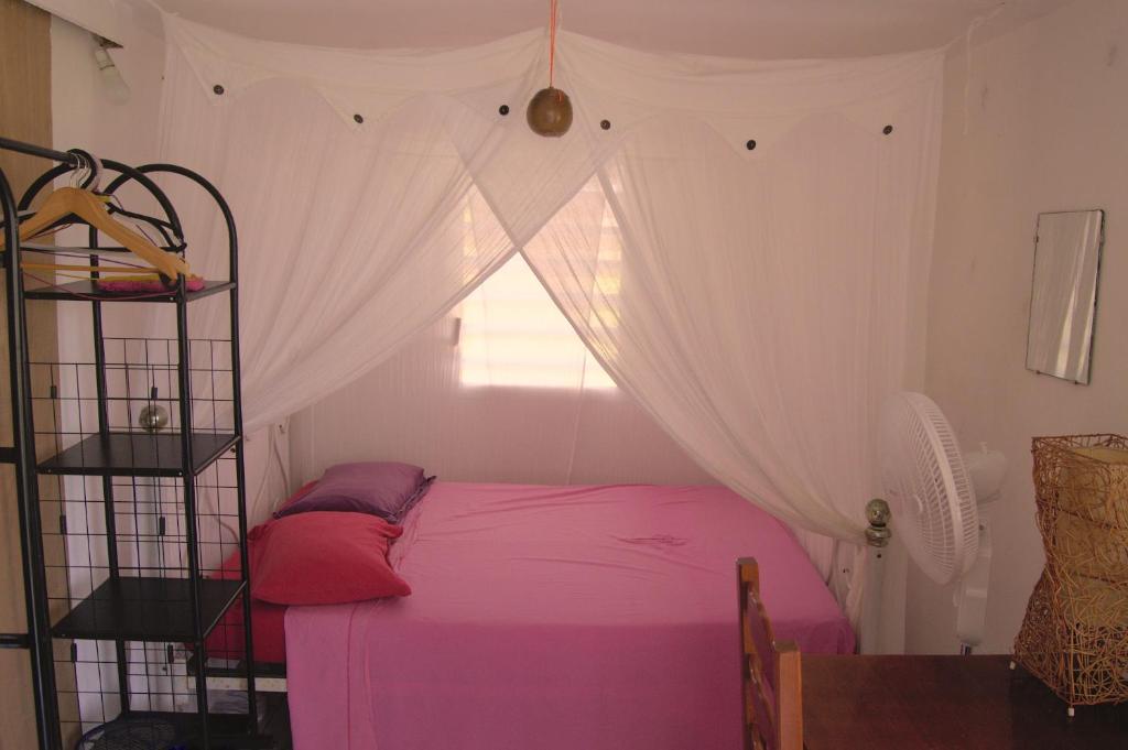 a bedroom with a pink bed and a window at Le lit d'Oli in Sainte-Rose