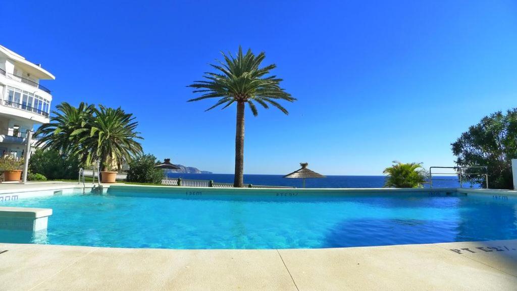 einen Pool mit einer Palme und dem Meer in der Unterkunft Acapulco Playa BLUEWATER VILLAS in Nerja