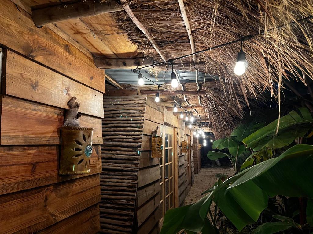 Fotografie z fotogalerie ubytování Luhme Tulum Hostel - Free Bike & Free Cenote Access v destinaci Tulum
