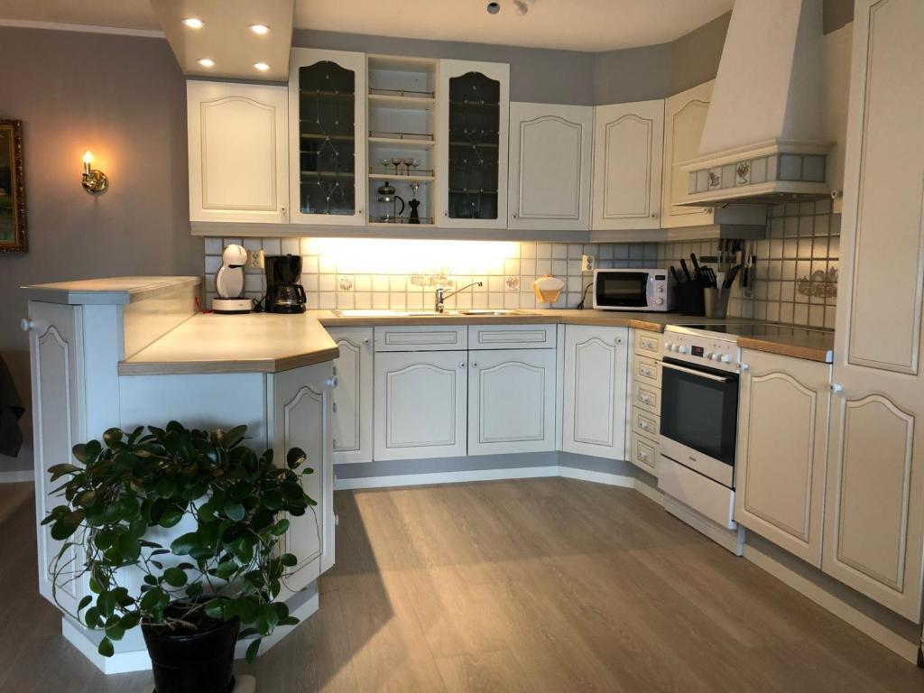 a kitchen with white cabinets and a potted plant at Fagre Stryn Feriehus in Stryn