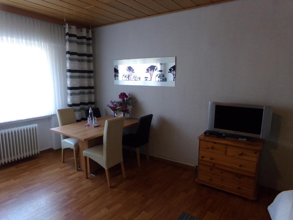 TV a/nebo společenská místnost v ubytování Sauerland-Hotel