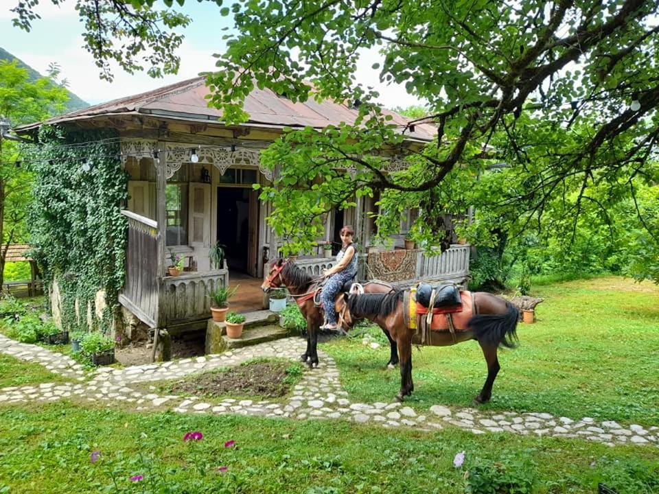 Parna cottage