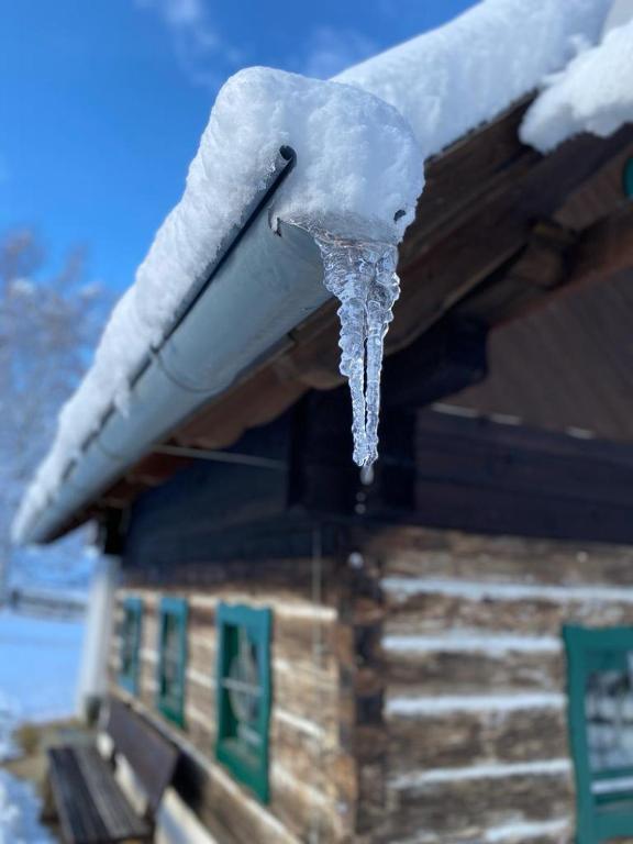 FERIENHAUS WALDTRAUM v zimě