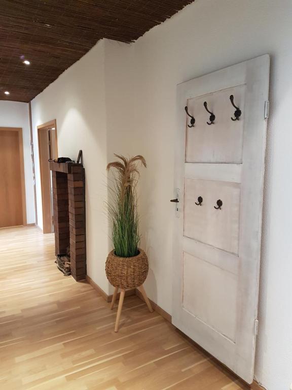 Zimmer mit Tür und Topfpflanze in der Unterkunft Helene in Vetschau
