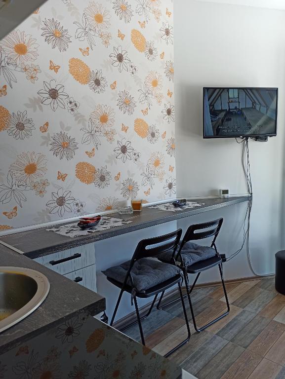 TV a/nebo společenská místnost v ubytování Apartman Studio LASTIN PUT Divčibare