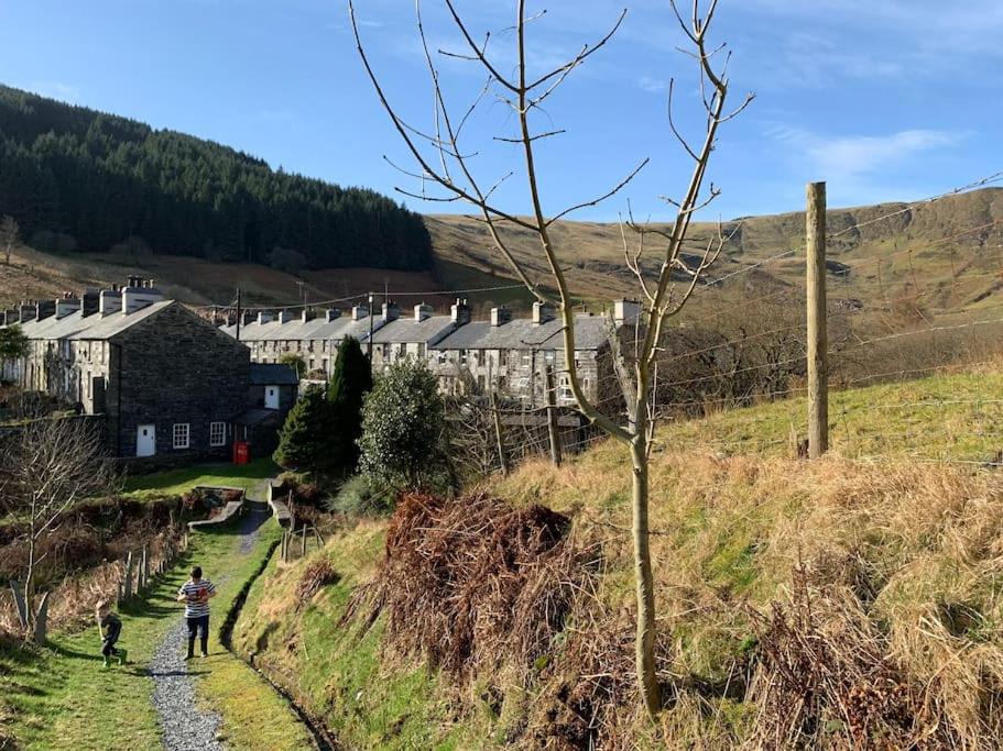 a group of people walking down a dirt road at Yr Hen Siop - 4 bed welsh cottage in Snowdonia in Penmachno