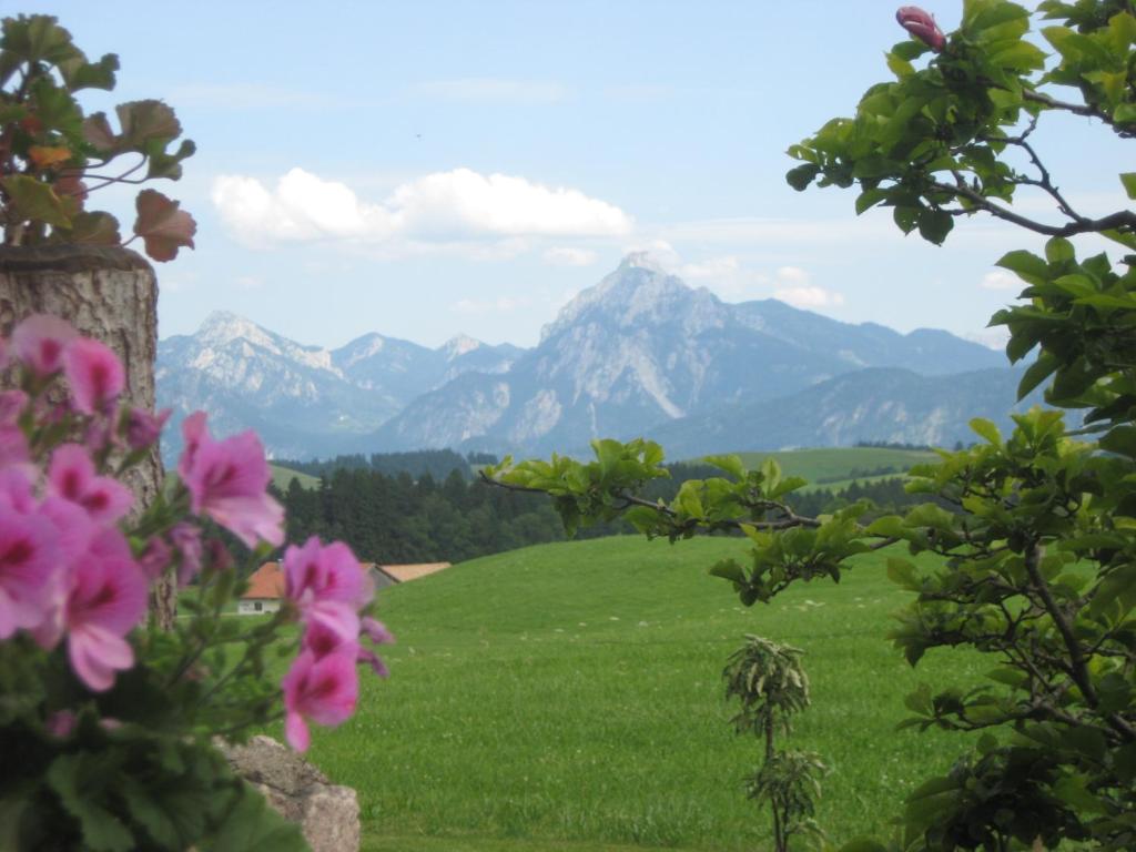 Příroda nedaleko bed and breakfast