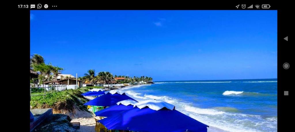 a group of blue umbrellas on a beach with the ocean at CASA Praia Barra de Tabatinga NATAL RN in Nísia Floresta