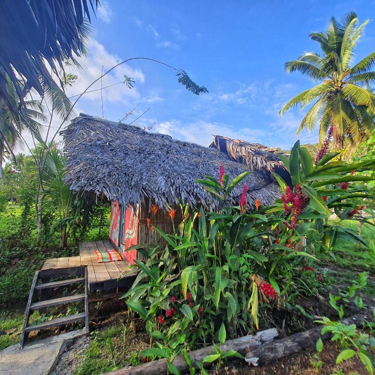 Jardin de l'établissement Hakuna Matata Ecolodge