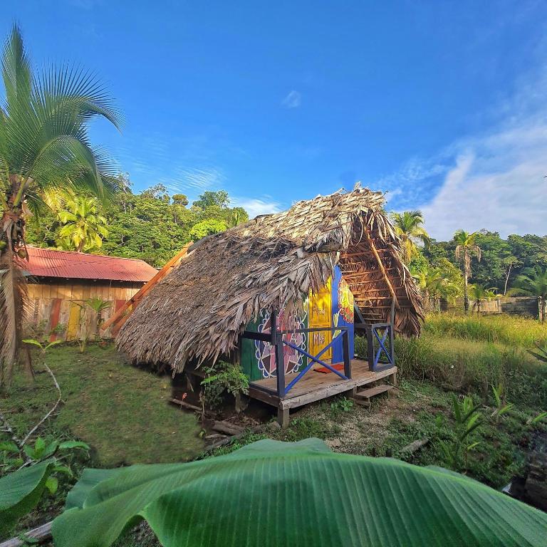 Jardin de l'établissement Hakuna Matata Ecolodge