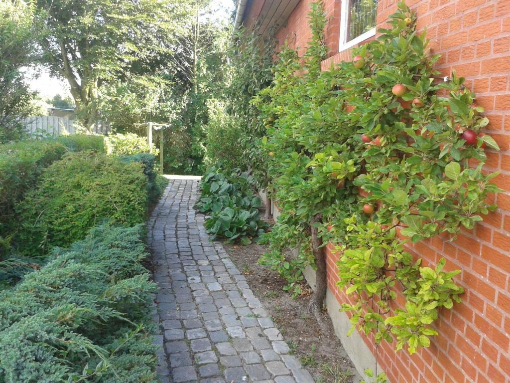 Zahrada ubytování Hannas B&B - 51 m2